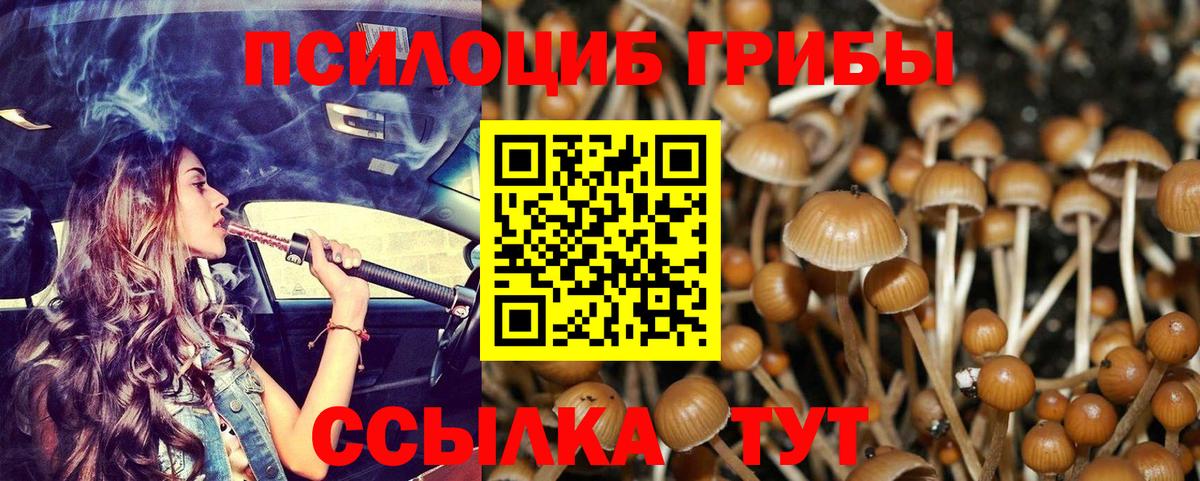 Псилоцибиновые грибы мицелий Воркута