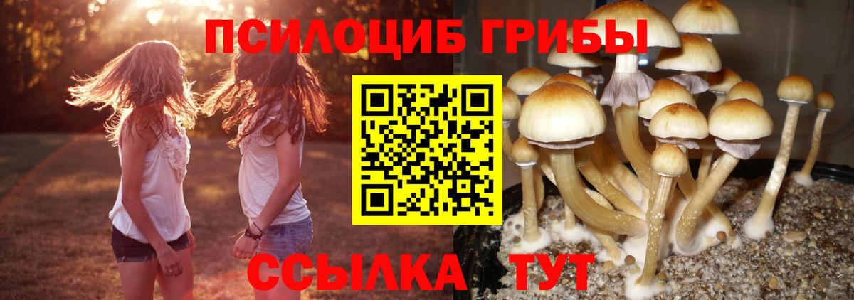 Воркута  Галлюциногенные грибы Magic Shrooms  Вход с VPN 