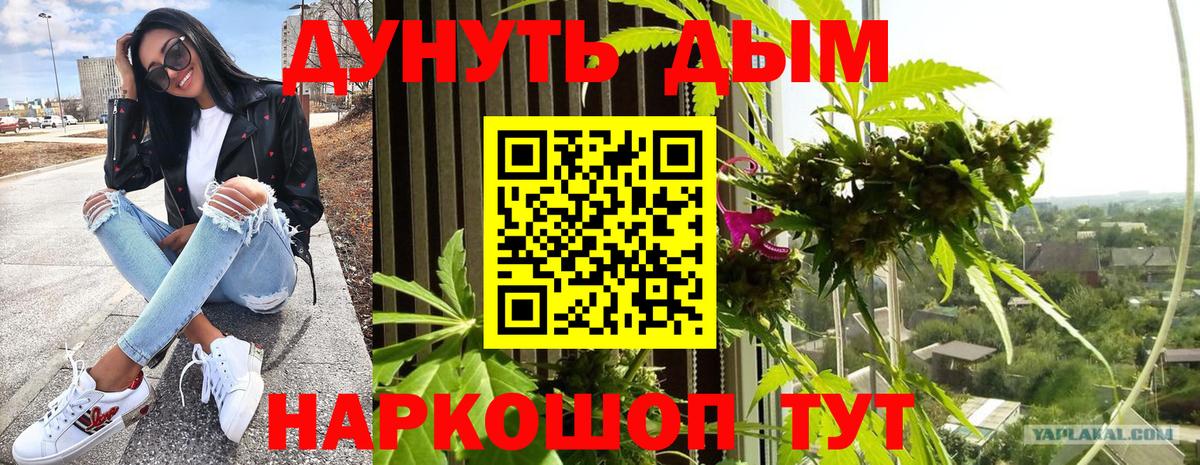 Шишки марихуана OG Kush Воркута